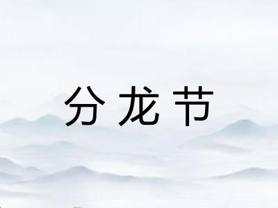分龙节
