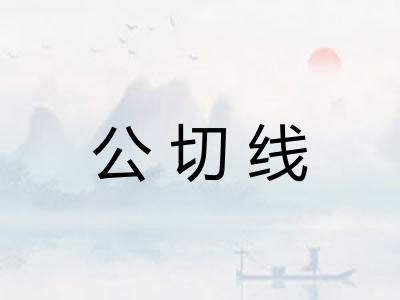 公切线