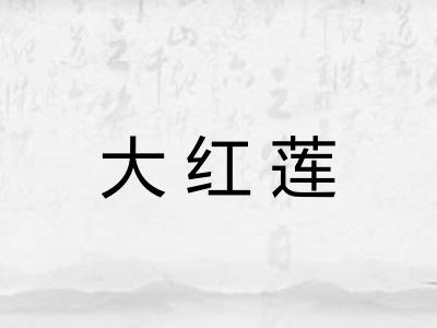 大红莲