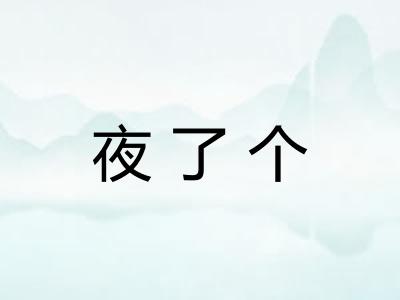 夜了个
