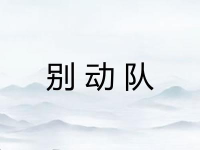 别动队 别动队