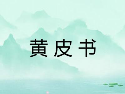 黄皮书