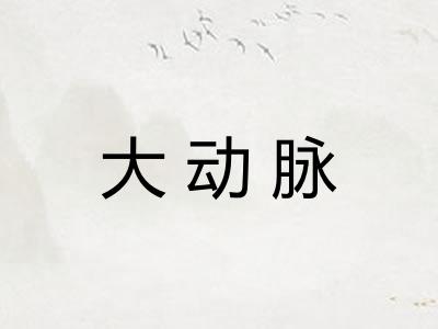 大动脉 大动脉