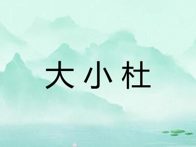 大小杜
