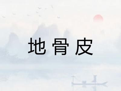 地骨皮 地骨皮