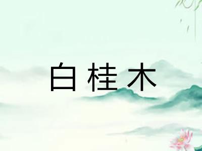 白桂木