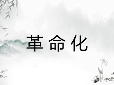 革命化 革命化