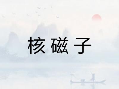核磁子