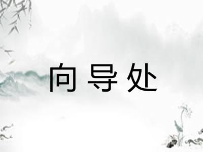 向导处
