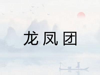 龙凤团