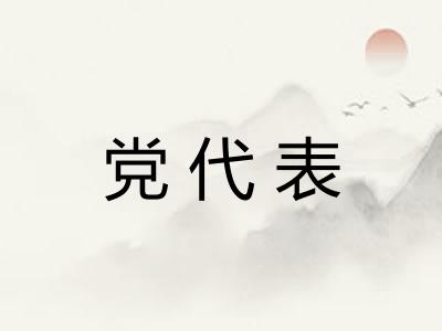 党代表