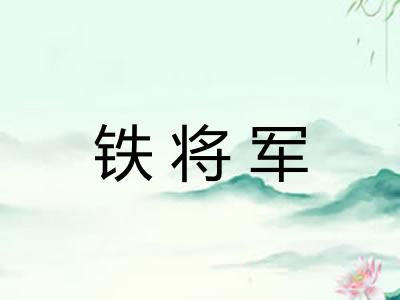 铁将军