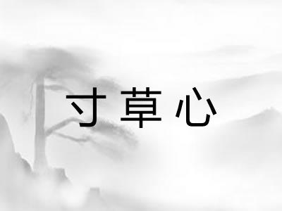 寸草心 寸草心