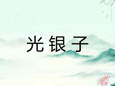 光银子