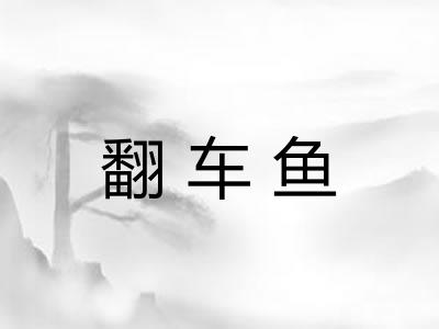 翻车鱼 翻车鱼