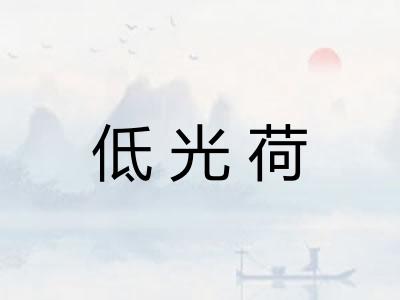 低光荷 低光荷