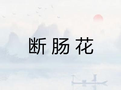 断肠花 断肠花