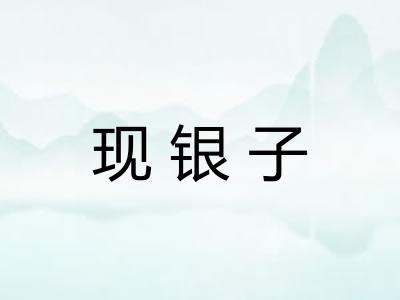 现银子