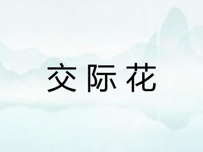 交际花
