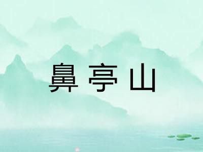 鼻亭山 鼻亭山