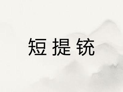 短提铳