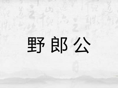 野郎公