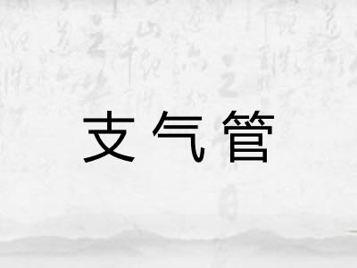 支气管 支气管