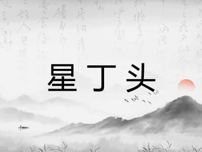 星丁头