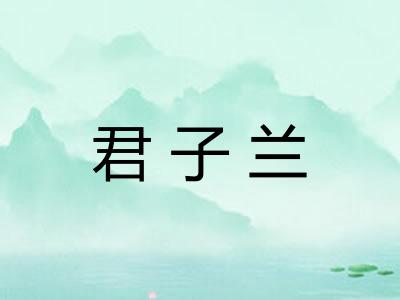 君子兰 君子兰