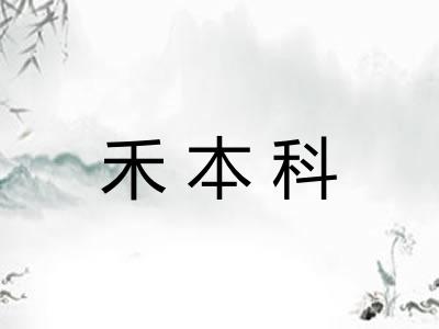 禾本科 禾本科