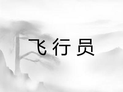 飞行员