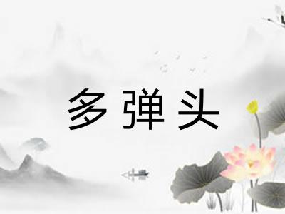 多弹头