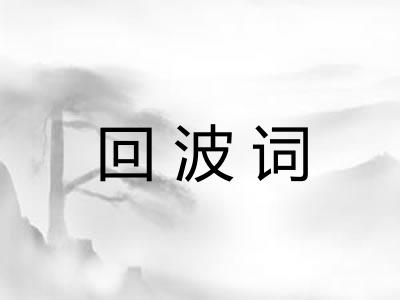 回波词