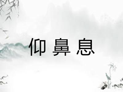 仰鼻息