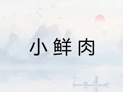 小鲜肉