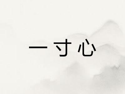一寸心