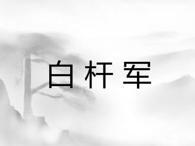 白杆军