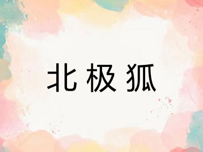 北极狐