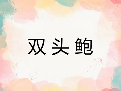 双头鲍