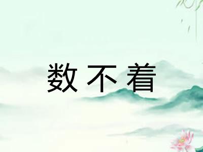 数不着 数不着