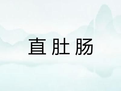 直肚肠