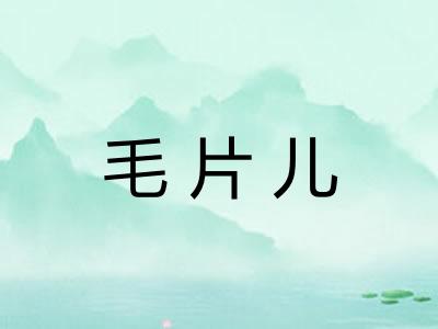 毛片儿