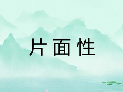 片面性