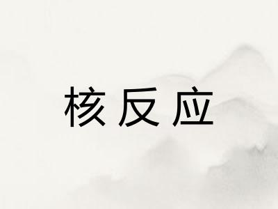 核反应 核反应