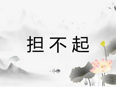 担不起 担不起