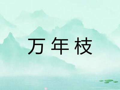 万年枝 万年枝