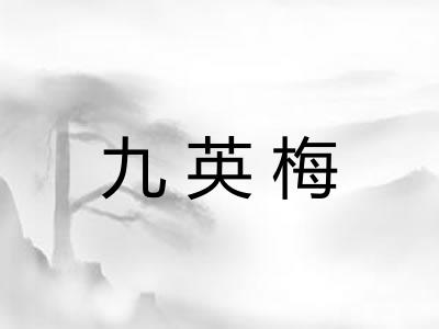 九英梅 九英梅