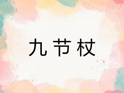 九节杖