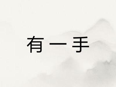 有一手 有一手