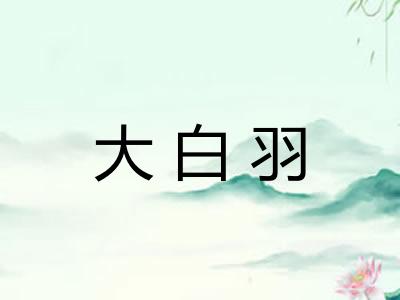 大白羽